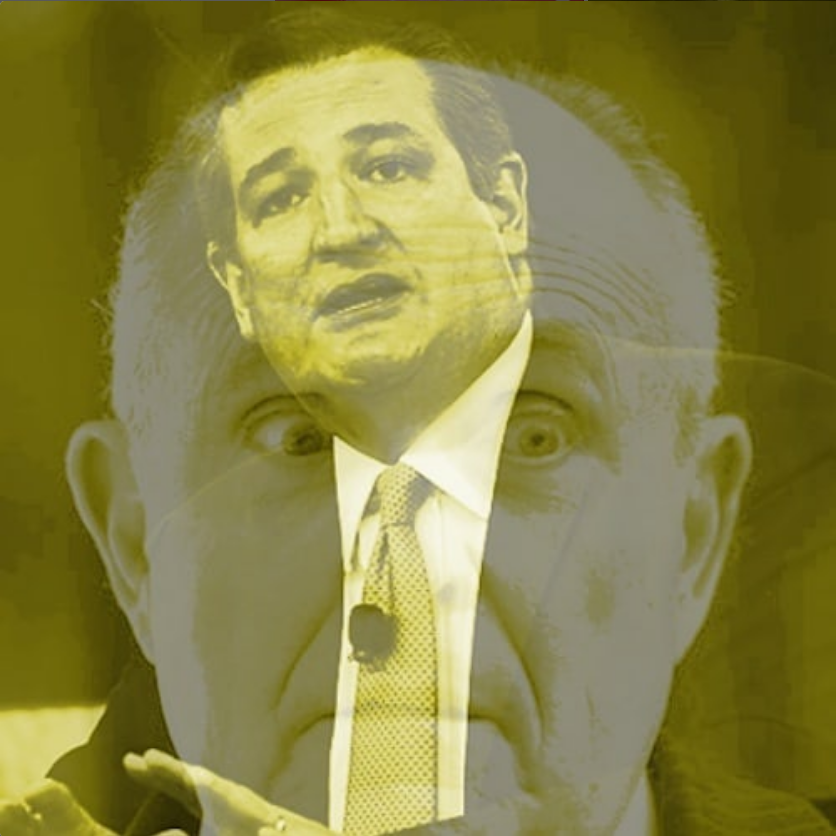 Cognitive Dissonance Memory Book