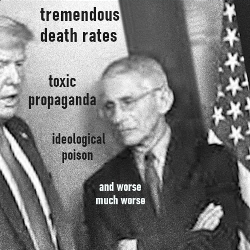 Cognitive Dissonance Memory Book