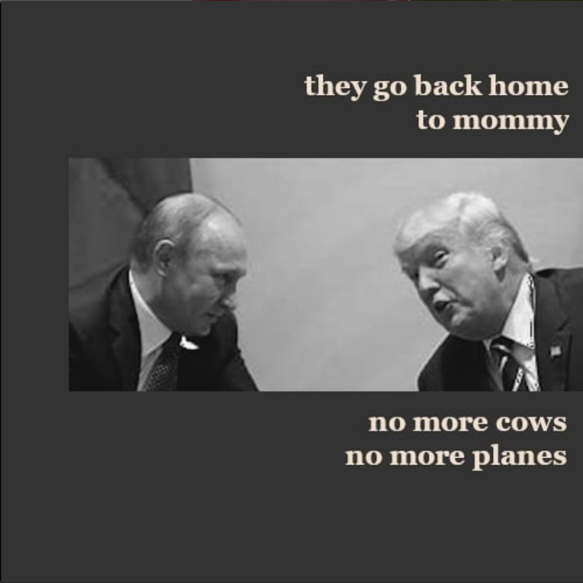 Cognitive Dissonance Memory Book